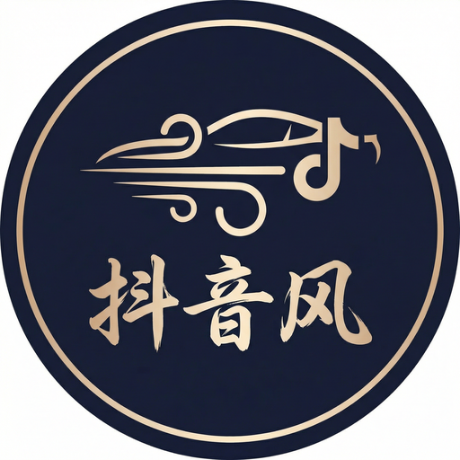 抖音风